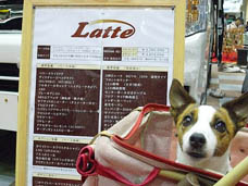 ���e����񂿂��